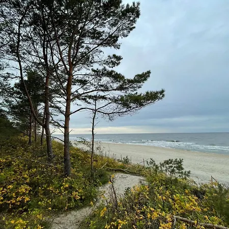 Agaciula Krynica Morska