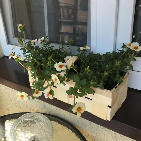 公寓 Agaciula 库瑞尼卡慕斯卡