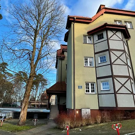 Agaciula Krynica Morska