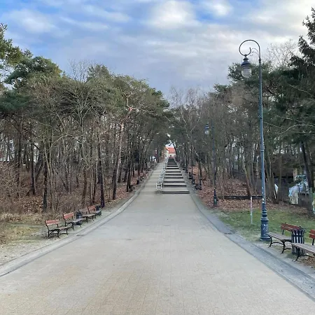 Апартаменты Agaciula