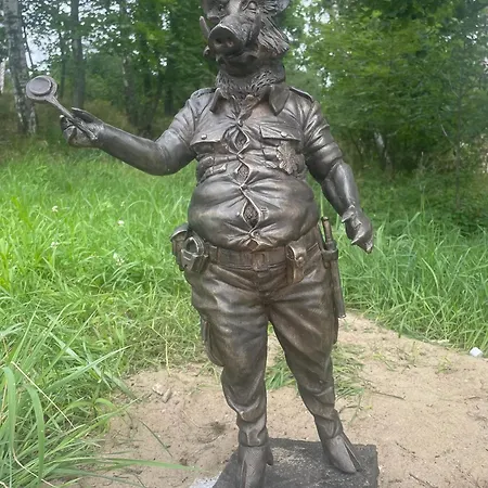 Апартаменты Agaciula *