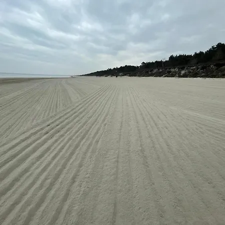 Agaciula Krynica Morska