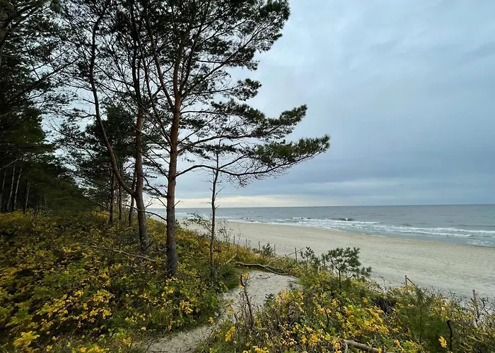 Agaciula 库瑞尼卡慕斯卡