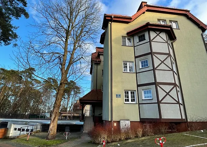 Agaciula 库瑞尼卡慕斯卡