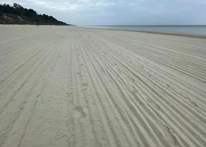 公寓 Agaciula 库瑞尼卡慕斯卡