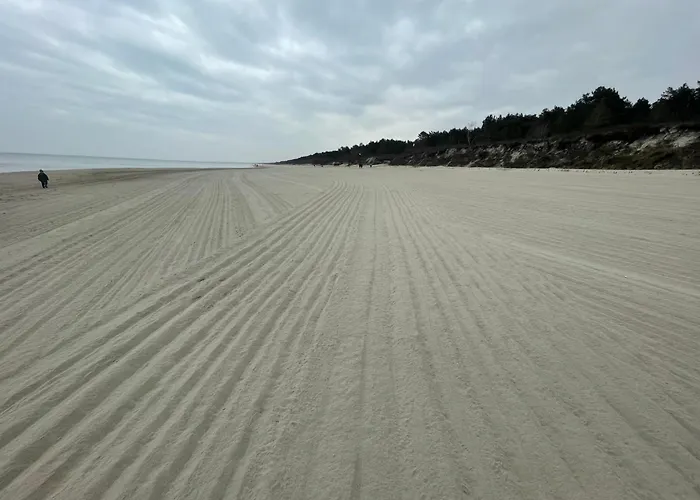 Agaciula 库瑞尼卡慕斯卡