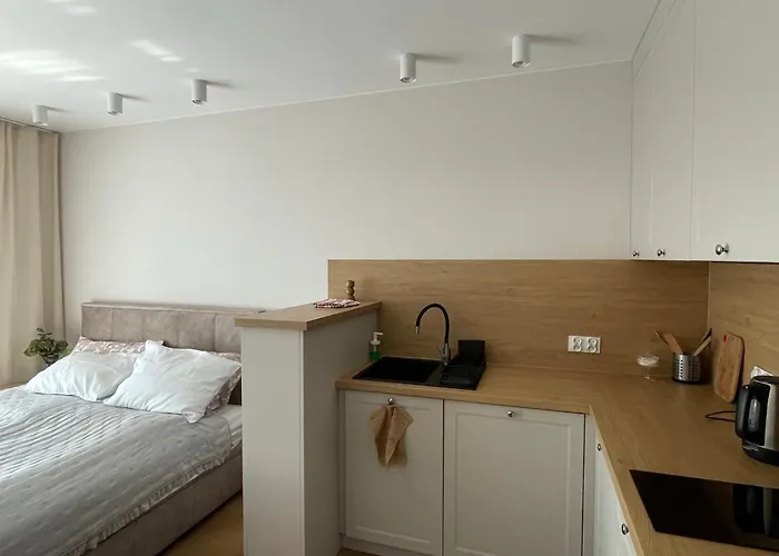 公寓 Agaciula 库瑞尼卡慕斯卡