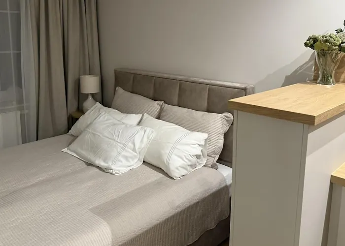 公寓 Agaciula 库瑞尼卡慕斯卡